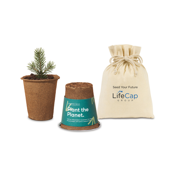 Modern Sprout® Tree Kits