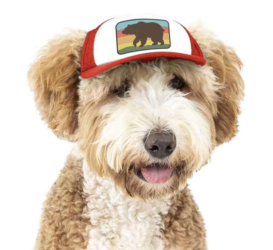 PupLid Trucker Hat for Dogs Blue Sky Marketing
