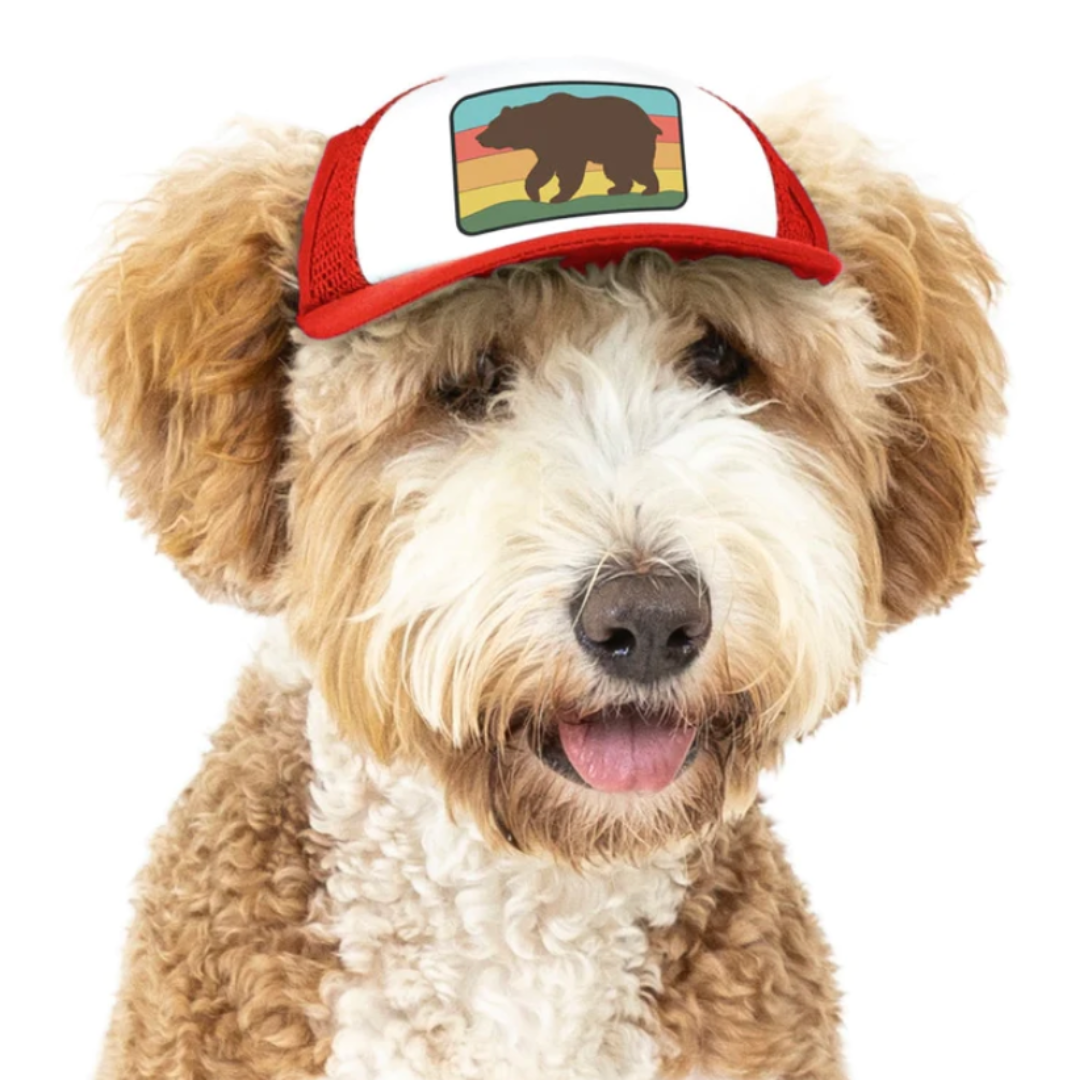 PupLid Trucker Hat for Dogs